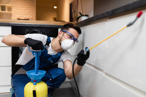 Best Pest Removal Services  in El Jebel, CO