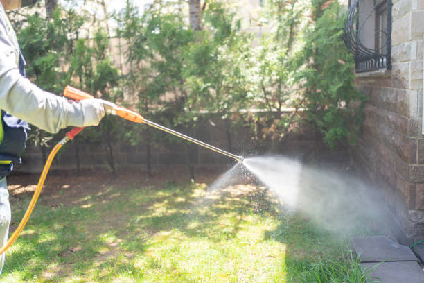 Pest Prevention Services in El Jebel, CO